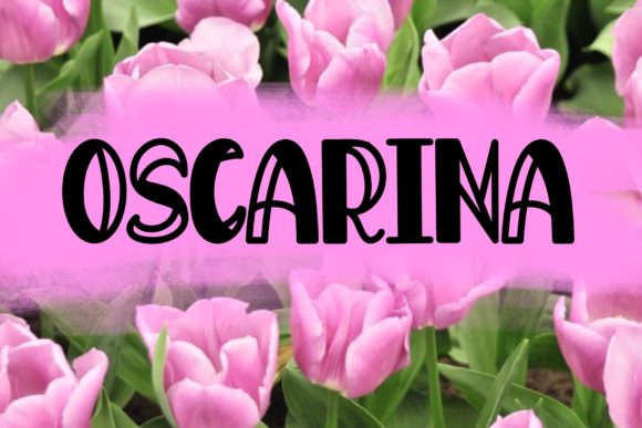 Oscarina Display Font for Web Design